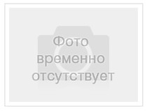 Зебра